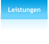 Leistungen